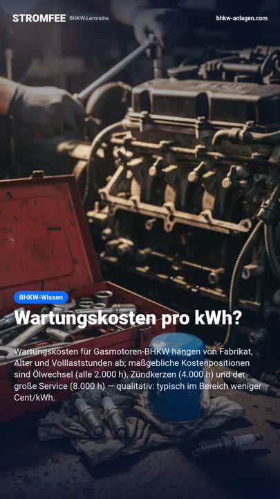 Wartungskosten pro kWh?
