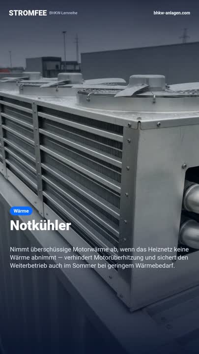 Notkühler