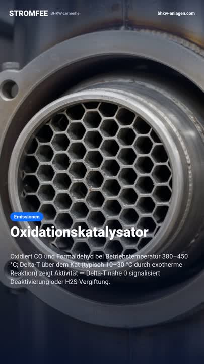 Oxidationskatalysator